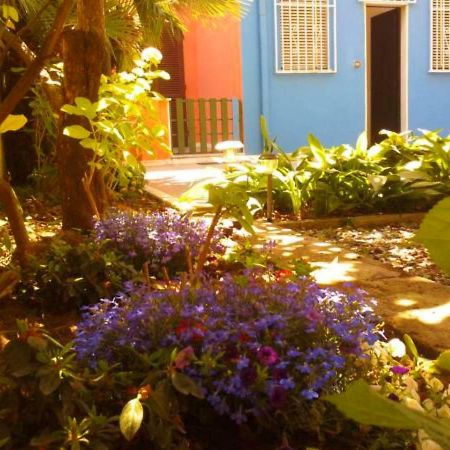 Eco B&B I Due Oleandri Marina Di Carrara Eksteriør billede