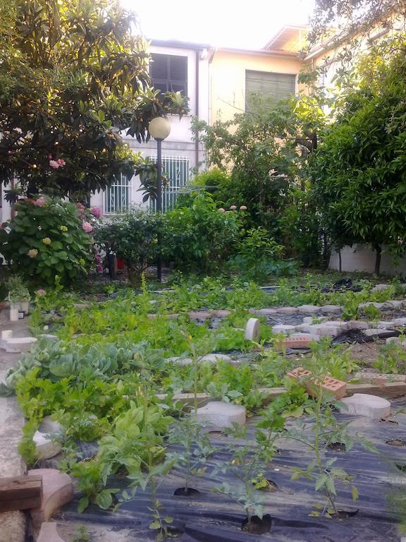 Eco B&B I Due Oleandri Marina Di Carrara Eksteriør billede
