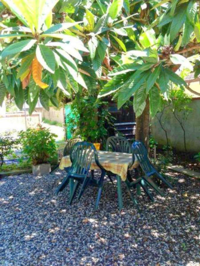 Eco B&B I Due Oleandri Marina Di Carrara Eksteriør billede